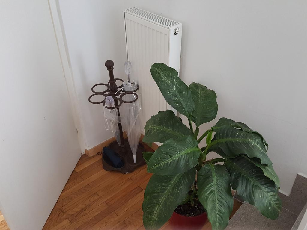 E&E Apartments Lublana Zewnętrze zdjęcie